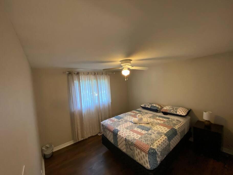 Kingston Comfort Hub 외부 사진